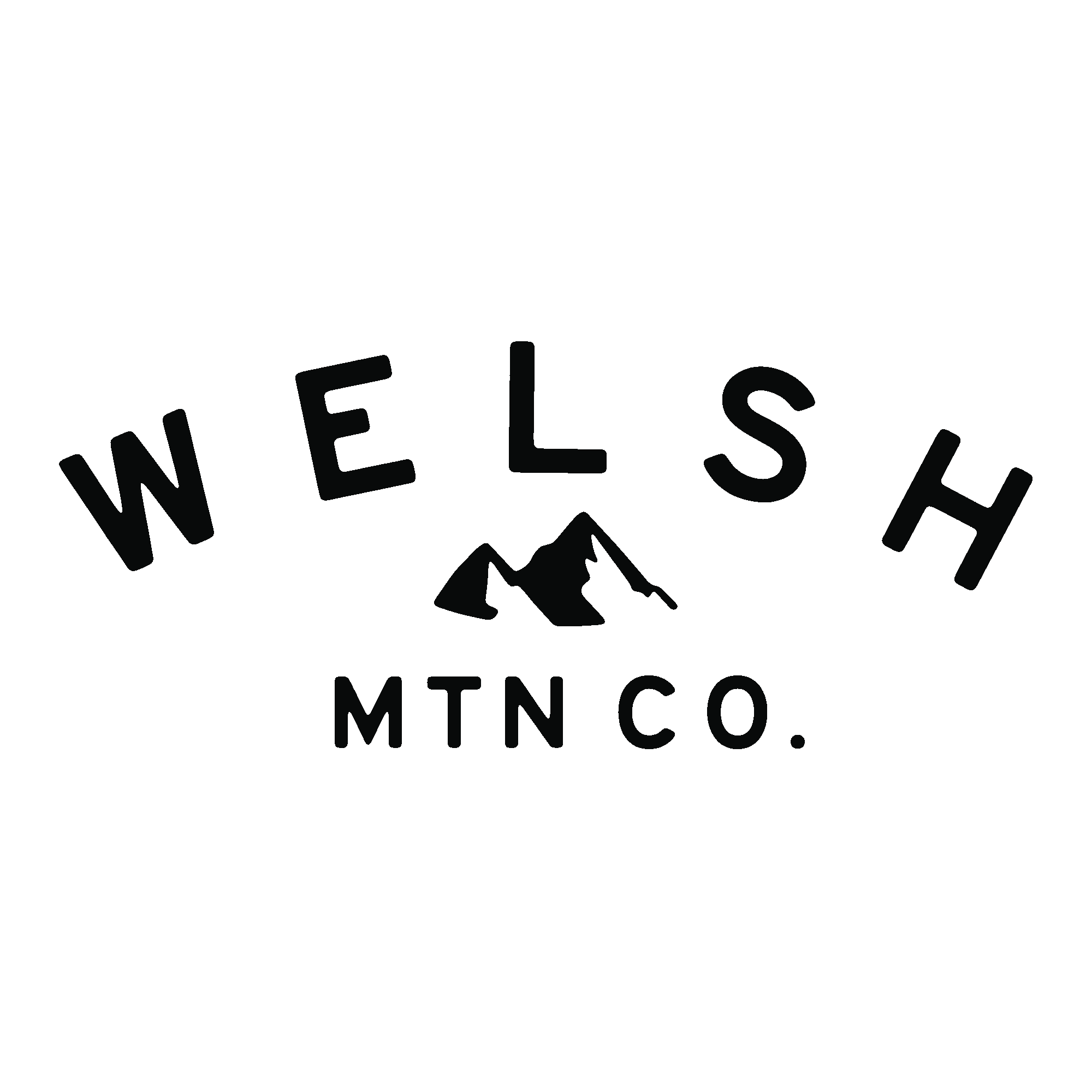 Welsh Mnt Co's logo
